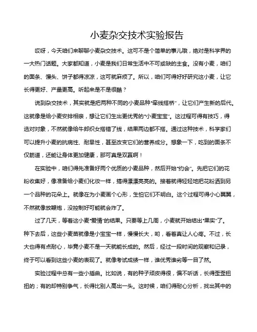 小麦杂交技术实验报告