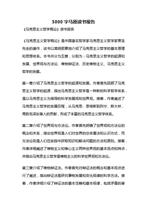 3000字马原读书报告
