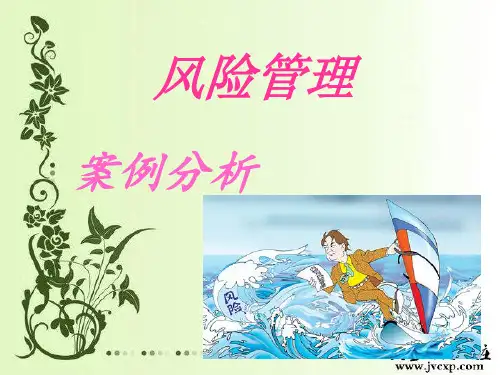 风险管理案例分析