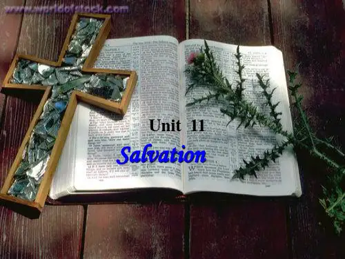综合英语 unit 11 salvation(课堂PPT)