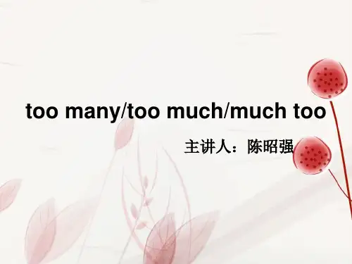短语辨析too many,too much,much too