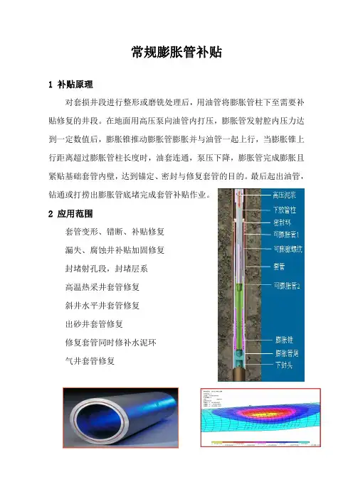 石油工程技术  井下作业  常规膨胀管补贴
