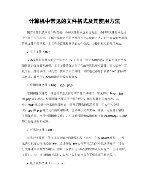 计算机中常见的文件格式及其使用方法