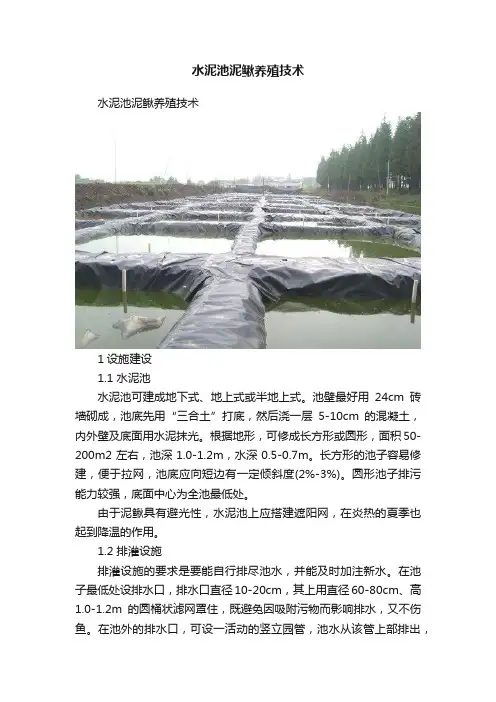 水泥池泥鳅养殖技术