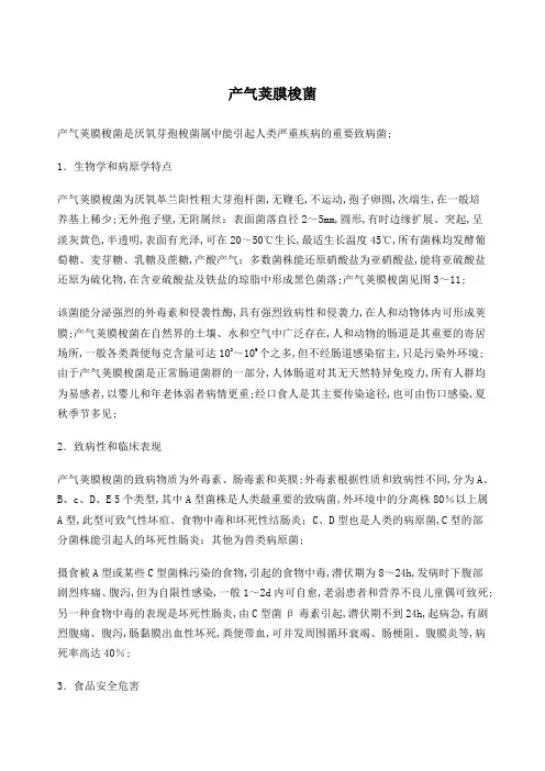 产气荚膜梭菌