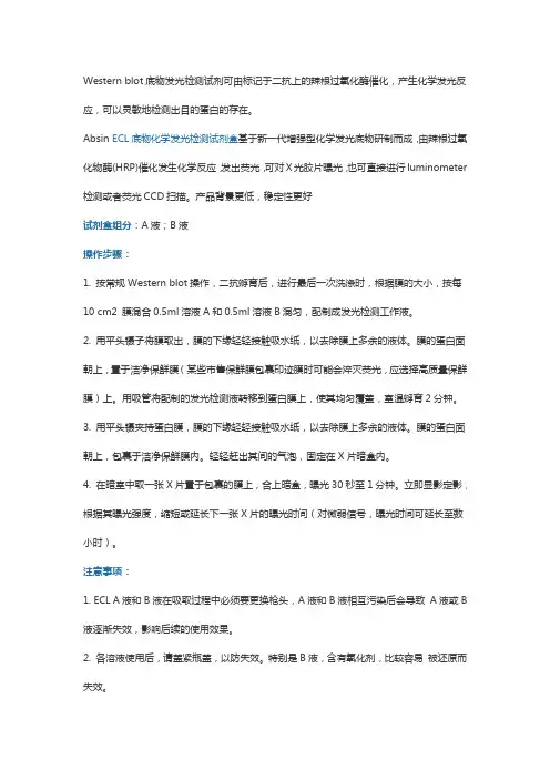ECL化学发光检测试剂盒