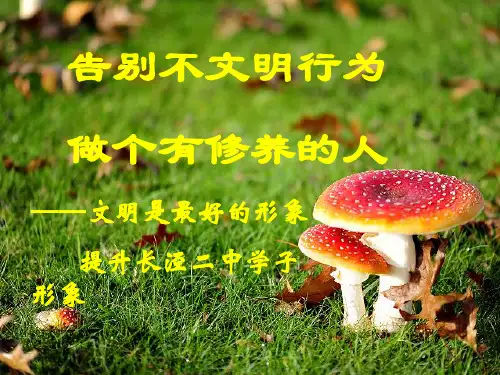 校园不文明行为——班会ppt课件