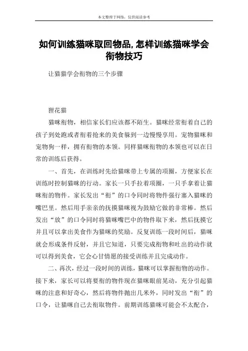 如何训练猫咪取回物品,怎样训练猫咪学会衔物技巧
