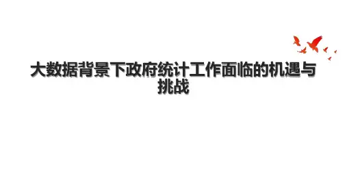 大数据背景下政府统计工作面临的机遇与挑战.pptx