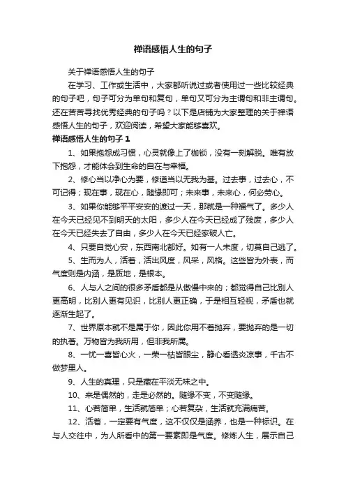 禅语感悟人生的句子