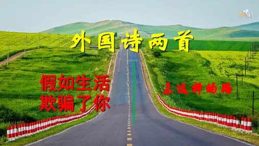 《假如生活欺骗了你》《未选择的路》 课件