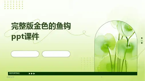 (2024年)完整版金色的鱼钩ppt课件