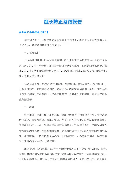组长转正总结报告
