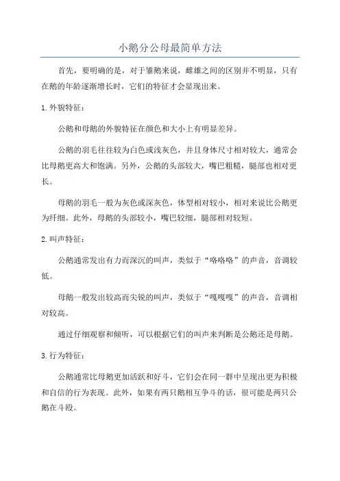 小鹅分公母最简单方法
