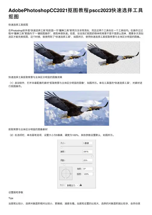 AdobePhotoshopCC2021抠图教程pscc2023快速选择工具抠图