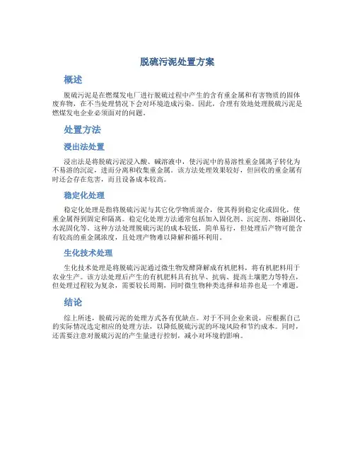脱硫污泥处置方案