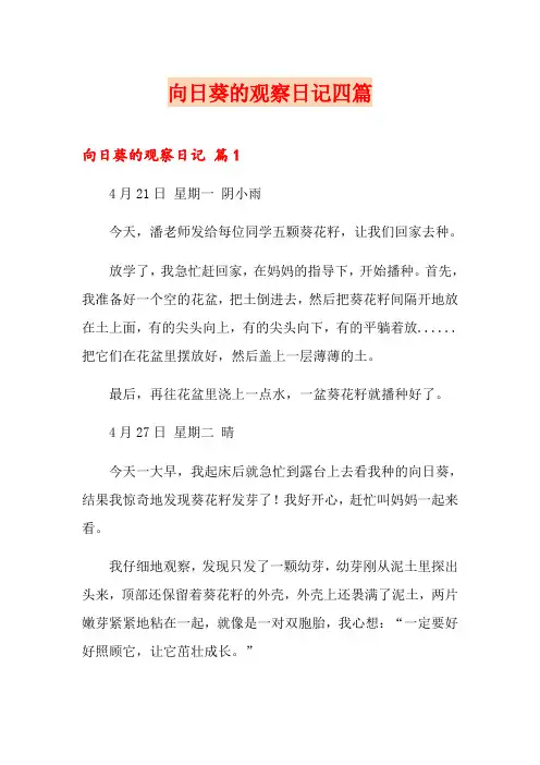 向日葵的观察日记四篇