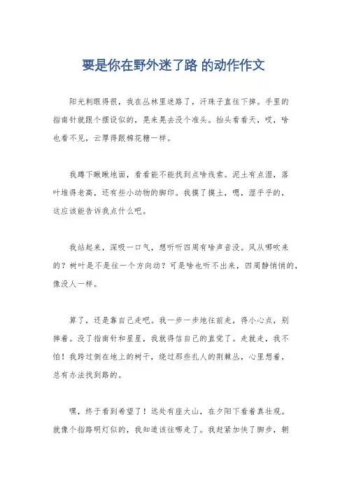 要是你在野外迷了路 的动作作文