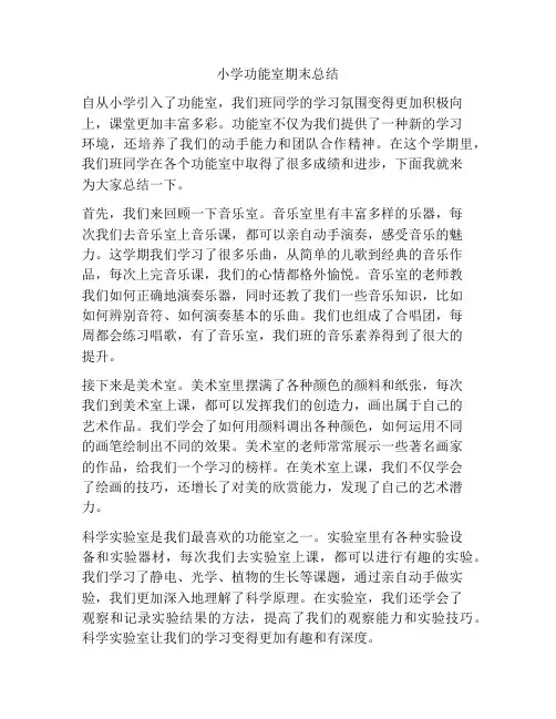 小学功能室期末总结