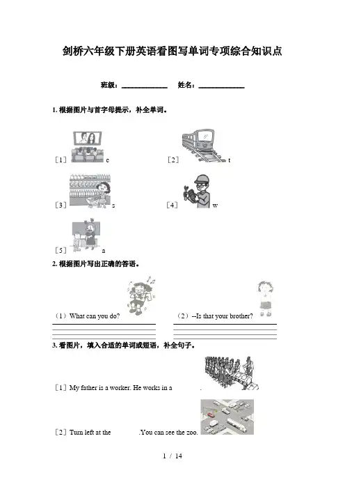 剑桥六年级下册英语看图写单词专项综合知识点