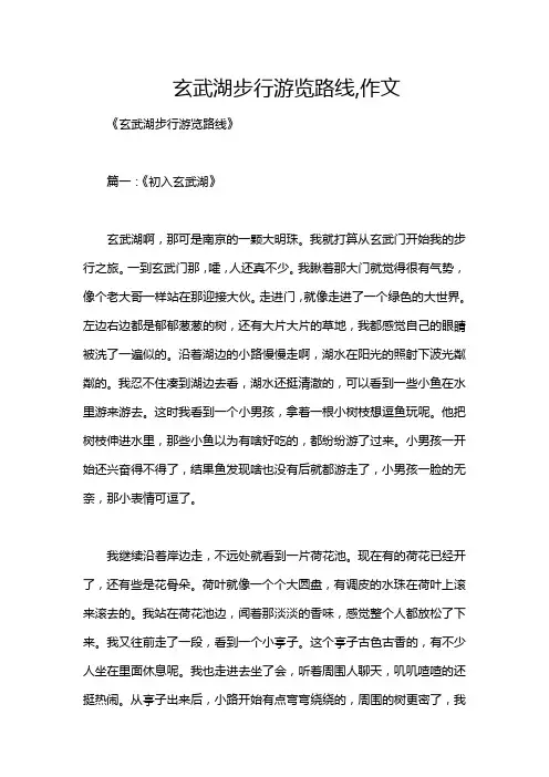 玄武湖步行游览路线,作文