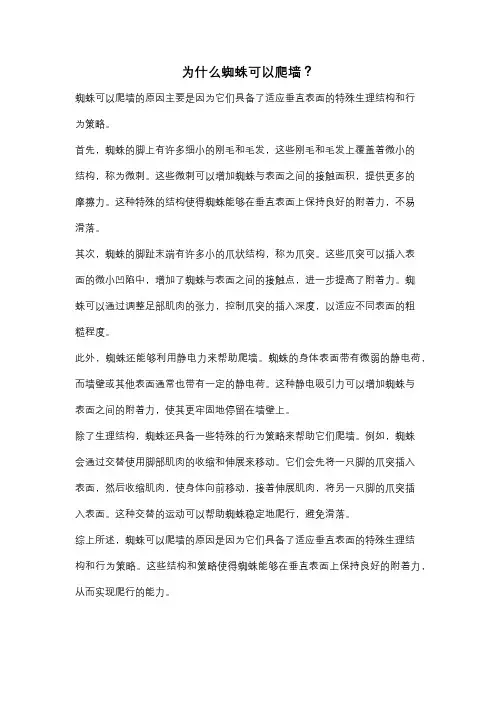 为什么蜘蛛可以爬墙？