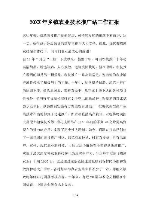 2019年乡镇农业技术推广站工作汇报