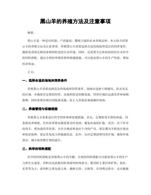黑山羊的养殖方法及注意事项