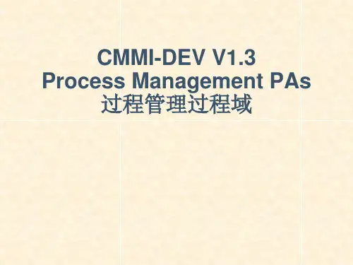 CMMI-DEV V1.3 组织过程域