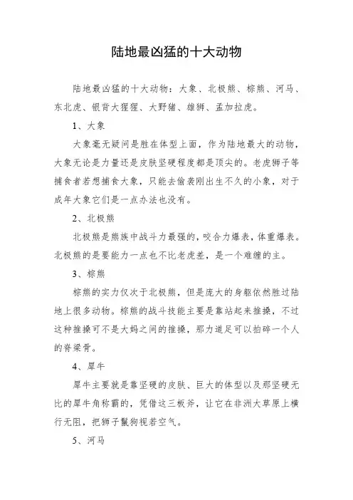 陆地最凶猛的十大动物