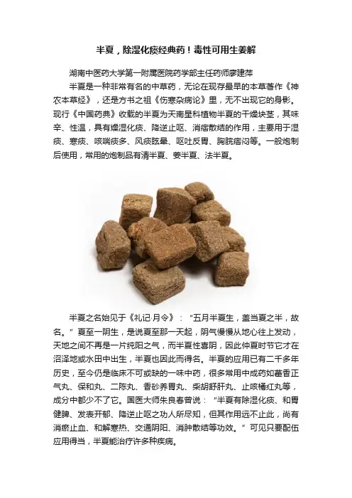 半夏，除湿化痰经典药！毒性可用生姜解