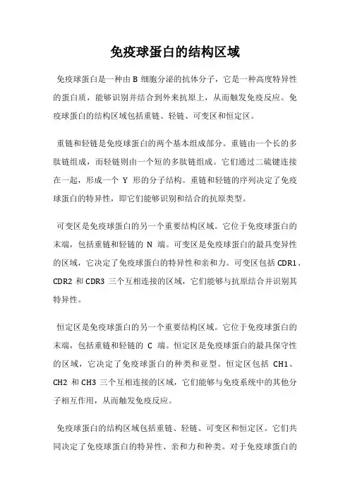 免疫球蛋白的结构区域