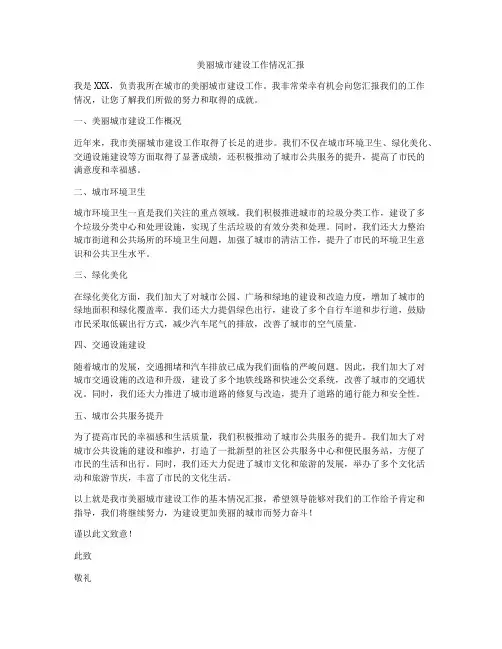 美丽城市建设工作情况汇报