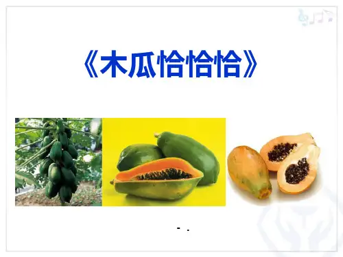 《木瓜恰恰恰》PPT教学课件
