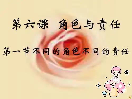 九年级政治 不同的角色 不同的责任课件 陕教版