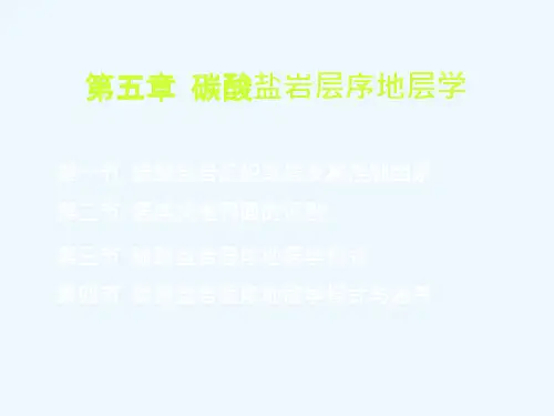 层序地层学-第5章-海相碳酸盐岩层序地层课件
