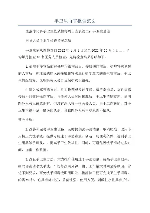 手卫生自查报告范文