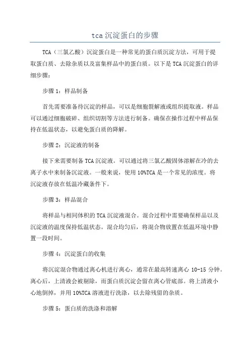 tca沉淀蛋白的步骤