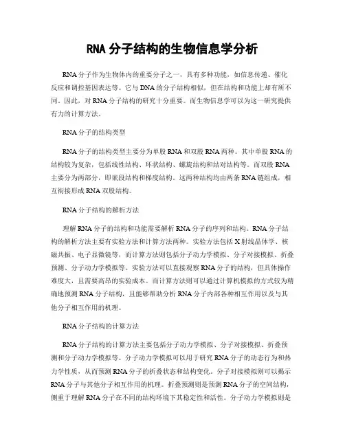 RNA分子结构的生物信息学分析