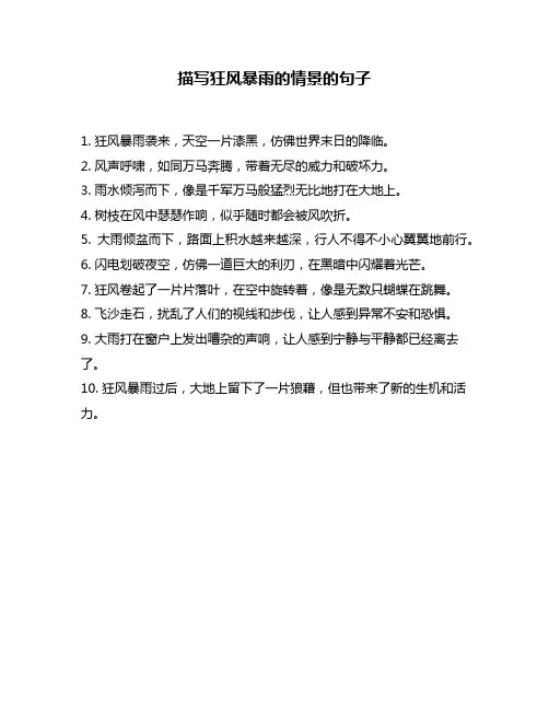 描写狂风暴雨的情景的句子