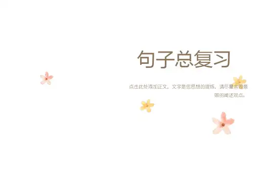 小学语文句子总复习ppt