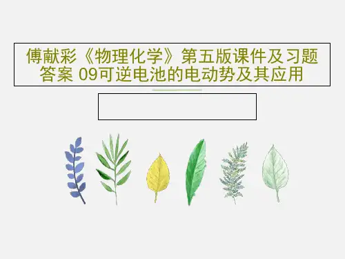 傅献彩《物理化学》第五版课件及习题答案 09可逆电池的电动势及其应用共111页文档
