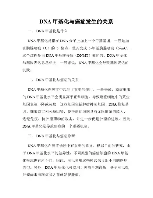 DNA甲基化与癌症发生的关系