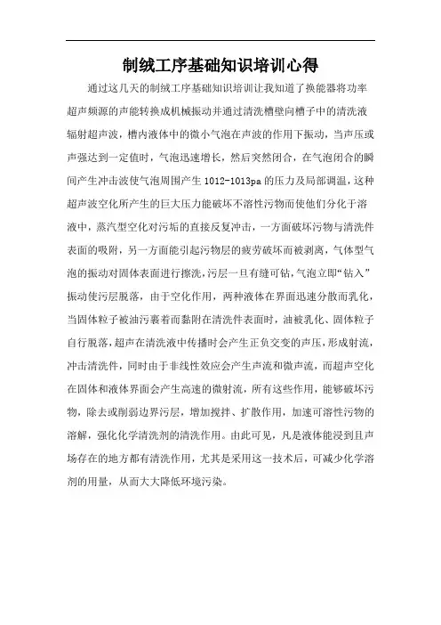 制绒工序基础知识培训心得