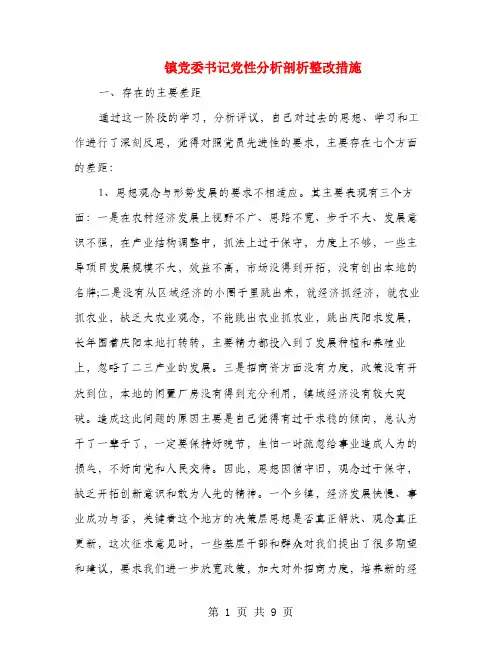 镇党委书记党性分析剖析整改措施