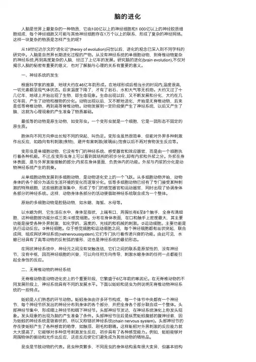 脑的进化——精选推荐