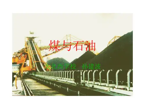 五年级下册科学课件-5.19 煤和石油 ｜冀教版  (共13张PPT)