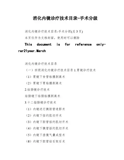 消化内镜诊疗技术目录-手术分级