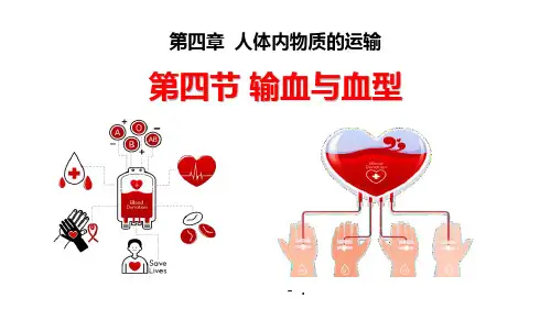《输血与血型》PPT精品课件