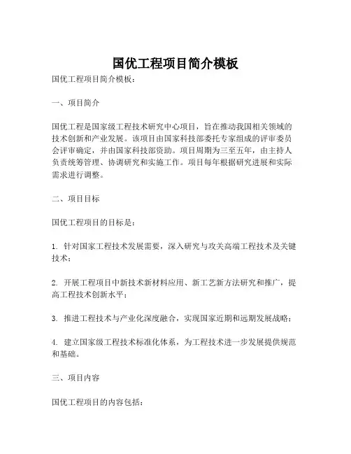 国优工程项目简介模板